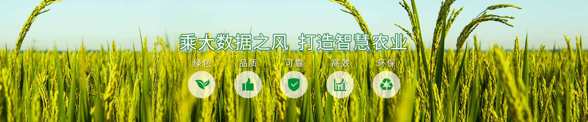 斯诺克英格兰公开赛直播在线观看